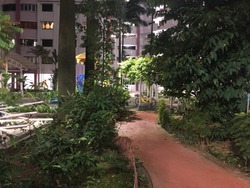 Blk 688A Choa Chu Kang Drive (Choa Chu Kang), HDB 5 Rooms #165560322
